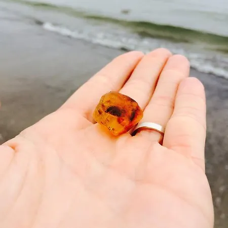 Meeresrauschen -mit Meerblick Oberstes Og Apartamento Binz